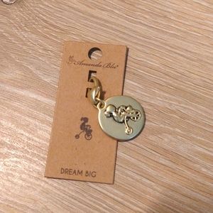 Amanda Blu Dream Big Charm